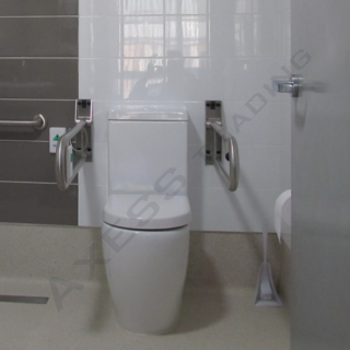 Drop Down Toilet Rail